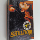 Sidney Sheldon : Sydänyön tuolla puolen - pikkukuva 1