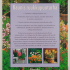 Stephanie Donaldson : Kaunis ruukkupuutarha - pikkukuva 2