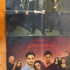 JULISTE PIRATES OF THE CARIBBEAN + TWILIGHT - pikkukuva 1