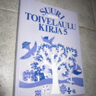 SUURI TOIVELAULUKIRJA 5 - pikkukuva 1