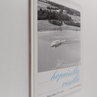 Juhani Valanto : Hämeen hopeisilla vesillä : Suomen Hopea... - pikkukuva 1