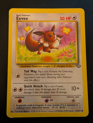 Eevee Pokemon Jungle
