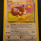 Eevee Pokemon Jungle - pikkukuva 1