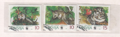 Latvia liito-oravia