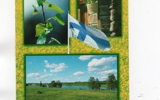 °°SUOMENLIPPU, KOIVU...°° -KORTTI /Papron