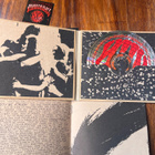 Neil Young - Mirrorball cd - pikkukuva 3