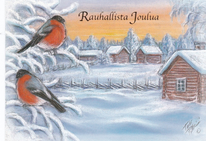 TERHO PELTONIEMI - PUNATULKUT OKSALLA - 4