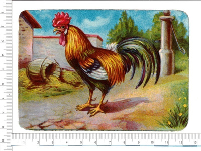 ~ hieno kukko, 12x8,5cm ~