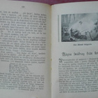 Hemåt. Evangelisk kal. 1919 (artiklar mm.) - pikkukuva 4