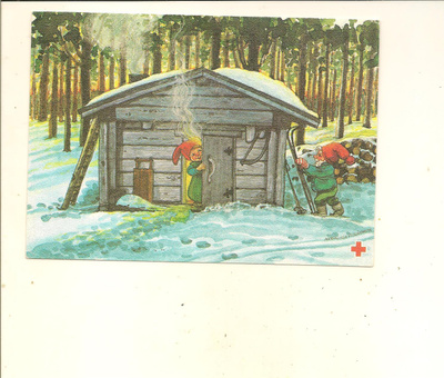 PITKÄRANTA ,,,, SAUNA LÄMPIÄÄ
