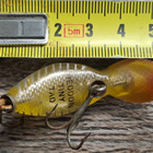 Heddon tiny tad! - pikkukuva 3