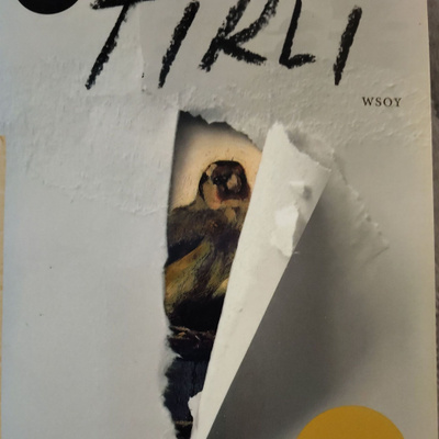 Donna Tartt: Tikli
