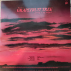 The Nights Of Iguana: Grapefruit Tree (LP) - pikkukuva 2
