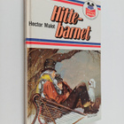 Hector-Henri Malot : Hittebarnet - pikkukuva 1