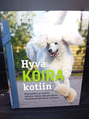Romppainen : Hyvä koira kotiin ( 2010 ) sis. postikulun