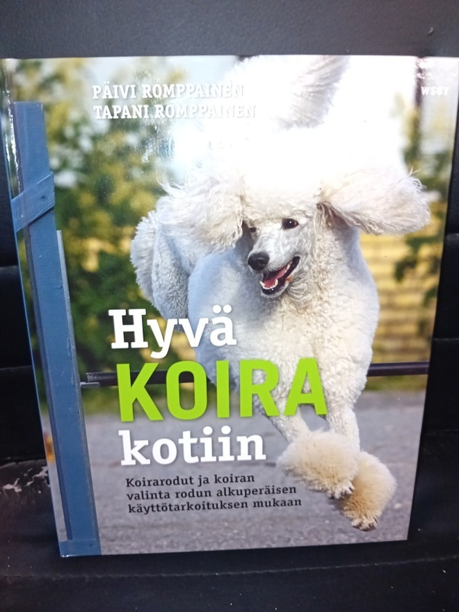 Romppainen : Hyvä koira kotiin ( 2010 ) sis. postikulun