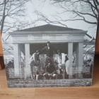 The Seeds : A Full Spoon Of Seedy Blues -LP - pikkukuva 2