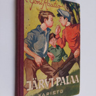 Joni Rautio : Järvi palaa : kertomus pojista pojille - pikkukuva 1