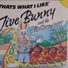 JIVE BUNNY & THE MASTERMIXERS  ::  THAT'S WHAT I LIKE :: CDS - pikkukuva 1