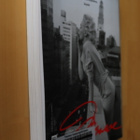 Välähdyksiä, sirpaleita Marilyn Monroe ( 1.p. 2010 k.po ) - pikkukuva 2