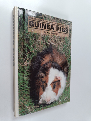 Kay Ragland : Guinea pigs