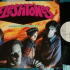 FLESHTONES ~ Powerstance! ~ LP - pikkukuva 1