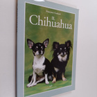 Francesco Cochetti : Il chihuahua - pikkukuva 1