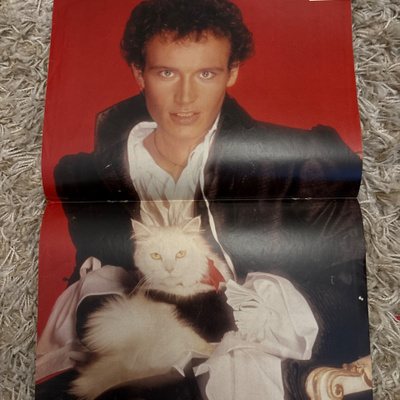 Adam Ant pikkujuliste