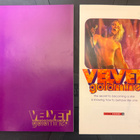 VELVET GOLDMINE BOOKLET VIHKONEN - pikkukuva 1