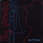 Big James & The Chicago Playboys: Now You Know - pikkukuva 1