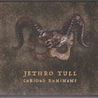 JETHRO TULL - CURIOUS RUMINANT - pikkukuva 1