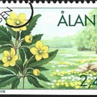 Åland 1994 ÅV 5 Kevätkukkia EP leima LaPe 123 - pikkukuva 1