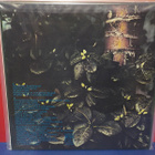 Jim Pembroke - Corporal Cauliflowers Mental EX+/M- LP - pikkukuva 2