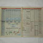 Jalkapallon MM-kisat 2002 Erikoisliite - pikkukuva 4