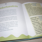 Sari Kanala Luotsikadun nallesairaala - pikkukuva 4