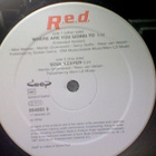 R.E.D.  ::  WHERE ARE YOU GOING TO :: VINYYLI  MAXI 12" 1997 - pikkukuva 2