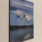 Juhani Manninen : Hyppy yli Paarlahden (signeerattu, teki... - pikkukuva 1