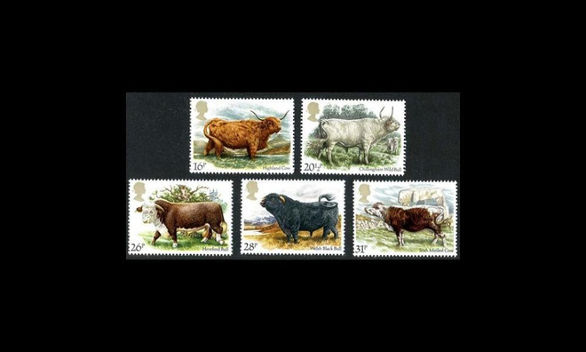 Iso-Britannia 979-83 ** Nautarotuja (1984)