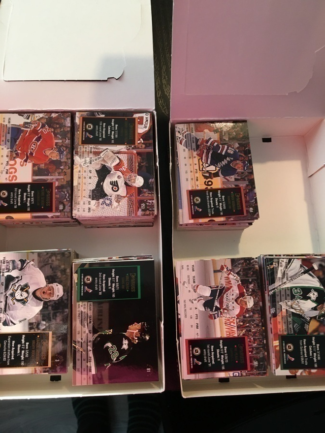 1993-94 Donruss peruskortteja