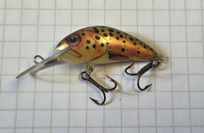 Salmo Hornet