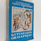 Jalmari Sauli : Ketunlukon oravanpojat : seikkailuja talv... - pikkukuva 1