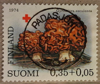 1974 0,35mk PR: Nappiloisto Padasjoki 2.5.75 (1122)