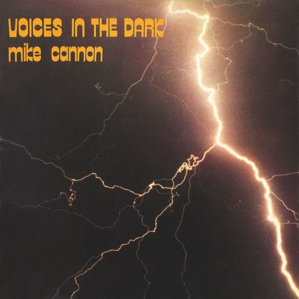 Mike Cannon: Voices in the dark italo-12"