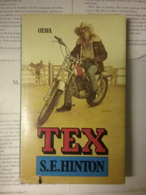 S.E. Hinton - Tex (sid.)