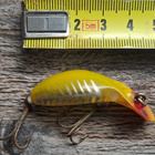 Heddon tiny tad! - pikkukuva 2