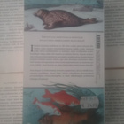 Kutistuva turska ja muita evoluution ihmeitä (pokkari) - pikkukuva 4