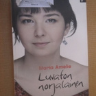 Maria Amelie: Luvaton norjalainen - pikkukuva 1