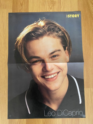 Leonardo DiCaprio juliste ja tarra
