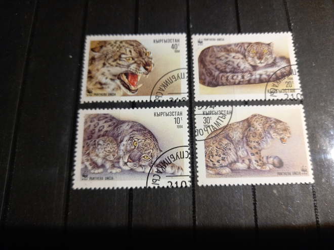 WWF-merkit lumileopardi Kirgisia 1994 o