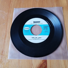 Danny – Hän On Lady / Ei Mitään Uutta 7" orig 1971 - pikkukuva 1